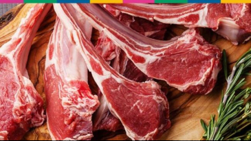 Workshop:Cortes de Carne de Ovinos | Not&iacute;cias