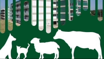 Curso de Mestrado em Sa&uacute;de, Bem-estar e Produ&ccedil;&atilde;o Animal Sustent&aacute;vel | Not&iacute;cias