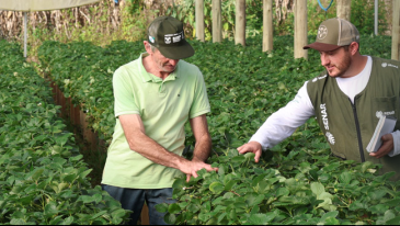 Vaga para t&eacute;cnico de campo de ATeG | Not&iacute;cias