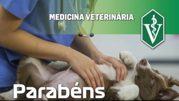 Dia do M&eacute;dico-Veterin&aacute;rio